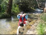 Thumbnail Image, Click to Enlarge thumb_IMG_0495.JPG