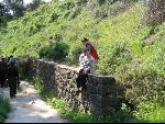 Thumbnail Image, Click to Enlarge thumb_IMG_0496.JPG