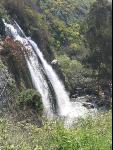 Thumbnail Image, Click to Enlarge thumb_IMG_0501.JPG