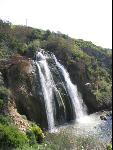 Thumbnail Image, Click to Enlarge thumb_IMG_0505.JPG