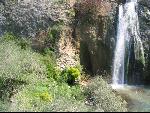 Thumbnail Image, Click to Enlarge thumb_IMG_0509.JPG