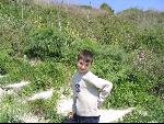 Thumbnail Image, Click to Enlarge thumb_IMG_0514.JPG