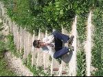 Thumbnail Image, Click to Enlarge thumb_IMG_0515.JPG