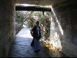 Thumbnail Image, Click to Enlarge thumb_IMG_0678.JPG
