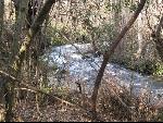 Thumbnail Image, Click to Enlarge thumb_IMG_0707.JPG