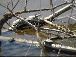 Thumbnail Image, Click to Enlarge thumb_IMG_0813.JPG