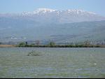 Thumbnail Image, Click to Enlarge thumb_IMG_0818.JPG
