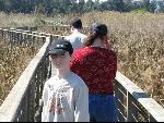 Thumbnail Image, Click to Enlarge thumb_IMG_0821.JPG