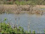 Thumbnail Image, Click to Enlarge thumb_IMG_0826.JPG