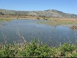 Thumbnail Image, Click to Enlarge thumb_IMG_0827.JPG