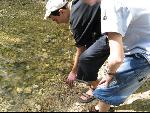 Thumbnail Image, Click to Enlarge thumb_IMG_0854.JPG