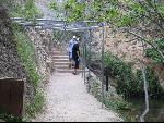 Thumbnail Image, Click to Enlarge thumb_IMG_0869.JPG