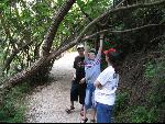 Thumbnail Image, Click to Enlarge thumb_IMG_0879.JPG