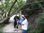 Thumbnail Image, Click to Enlarge thumb_IMG_0880.JPG