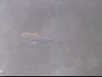 Thumbnail Image, Click to Enlarge thumb_IMG_2572.JPG