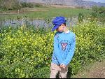 Thumbnail Image, Click to Enlarge thumb_IMG_2585.JPG