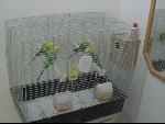 Thumbnail Image, Click to Enlarge thumb_IMG_2818.JPG