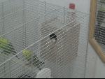 Thumbnail Image, Click to Enlarge thumb_IMG_2819.JPG