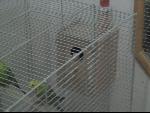 Thumbnail Image, Click to Enlarge thumb_IMG_2820.JPG