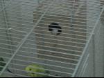 Thumbnail Image, Click to Enlarge thumb_IMG_2821.JPG