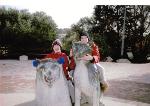 Thumbnail Image, Click to Enlarge thumb_31.jpg