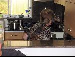 Thumbnail Image, Click to Enlarge thumb_IMG_1517.JPG