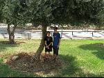 Thumbnail Image, Click to Enlarge thumb_IMG_1564.JPG