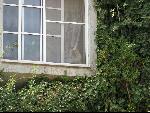 Thumbnail Image, Click to Enlarge thumb_IMG_1573.JPG