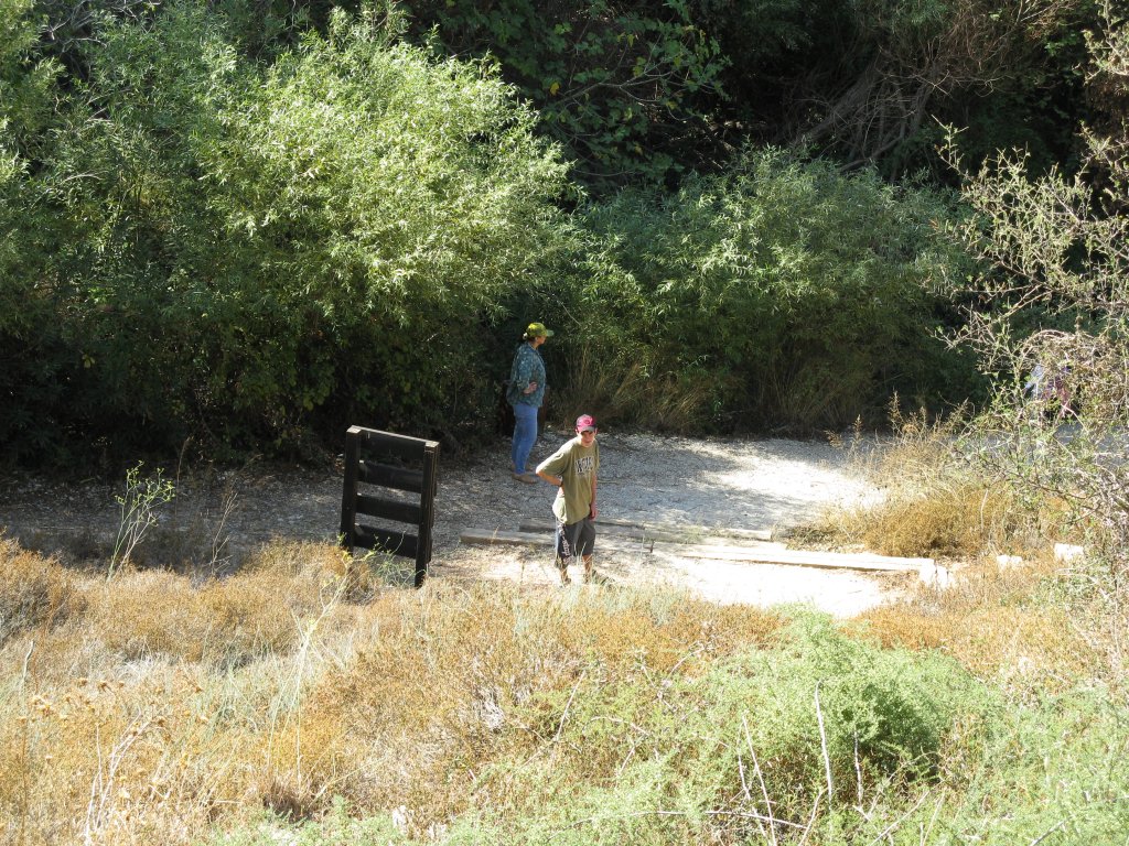 IMG_1540.JPG