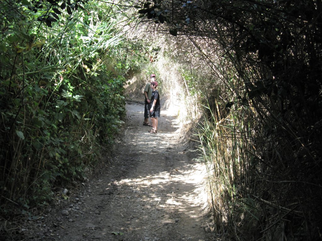 IMG_1542.JPG