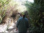 Thumbnail Image, Click to Enlarge thumb_IMG_1520.JPG