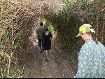 Thumbnail Image, Click to Enlarge thumb_IMG_1522.JPG