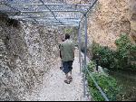 Thumbnail Image, Click to Enlarge thumb_IMG_1527.JPG