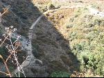 Thumbnail Image, Click to Enlarge thumb_IMG_1537.JPG