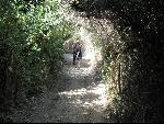 Thumbnail Image, Click to Enlarge thumb_IMG_1542.JPG