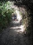 Thumbnail Image, Click to Enlarge thumb_IMG_1543.JPG