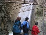 Thumbnail Image, Click to Enlarge thumb_IMG_2376.JPG