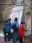 Thumbnail Image, Click to Enlarge thumb_IMG_2377.JPG