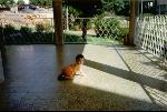 Thumbnail Image, Click to Enlarge thumb_6.JPG