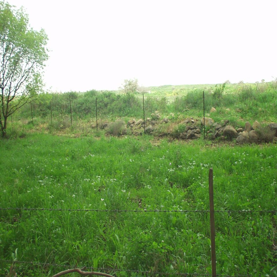 09032002_05.jpg