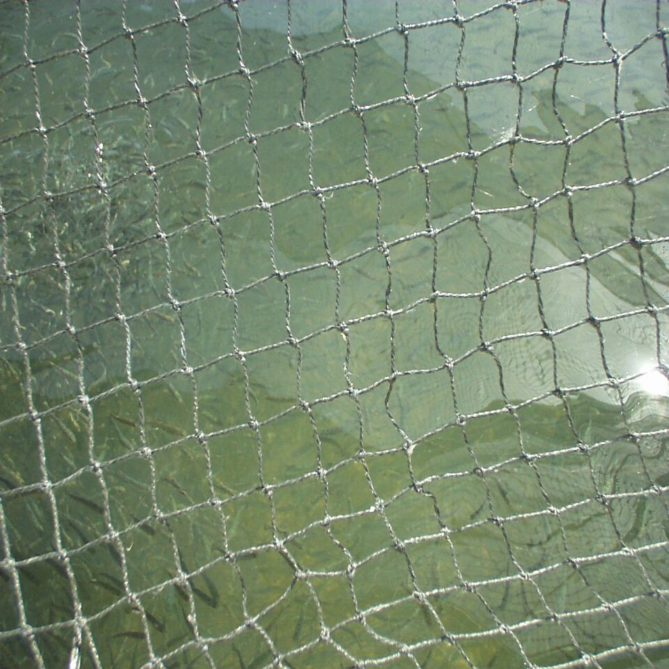 09032002_20.jpg