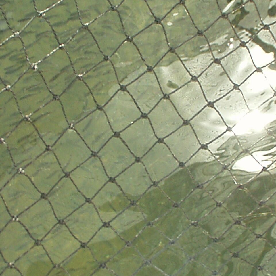 09032002_22.jpg