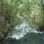 Thumbnail Image, Click to Enlarge thumb_09032002_03.jpg