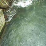 Thumbnail Image, Click to Enlarge thumb_09032002_04.jpg