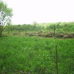 Thumbnail Image, Click to Enlarge thumb_09032002_05.jpg