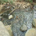 Thumbnail Image, Click to Enlarge thumb_09032002_07.jpg