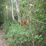 Thumbnail Image, Click to Enlarge thumb_09032002_08.jpg