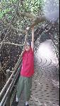 Thumbnail Image, Click to Enlarge thumb_09032002_11.jpg