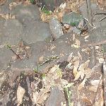 Thumbnail Image, Click to Enlarge thumb_09032002_12.jpg