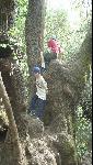 Thumbnail Image, Click to Enlarge thumb_09032002_13.jpg